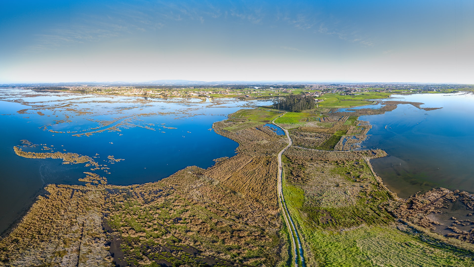 Sterna - Aveiro Ria Tours & Birdwatching